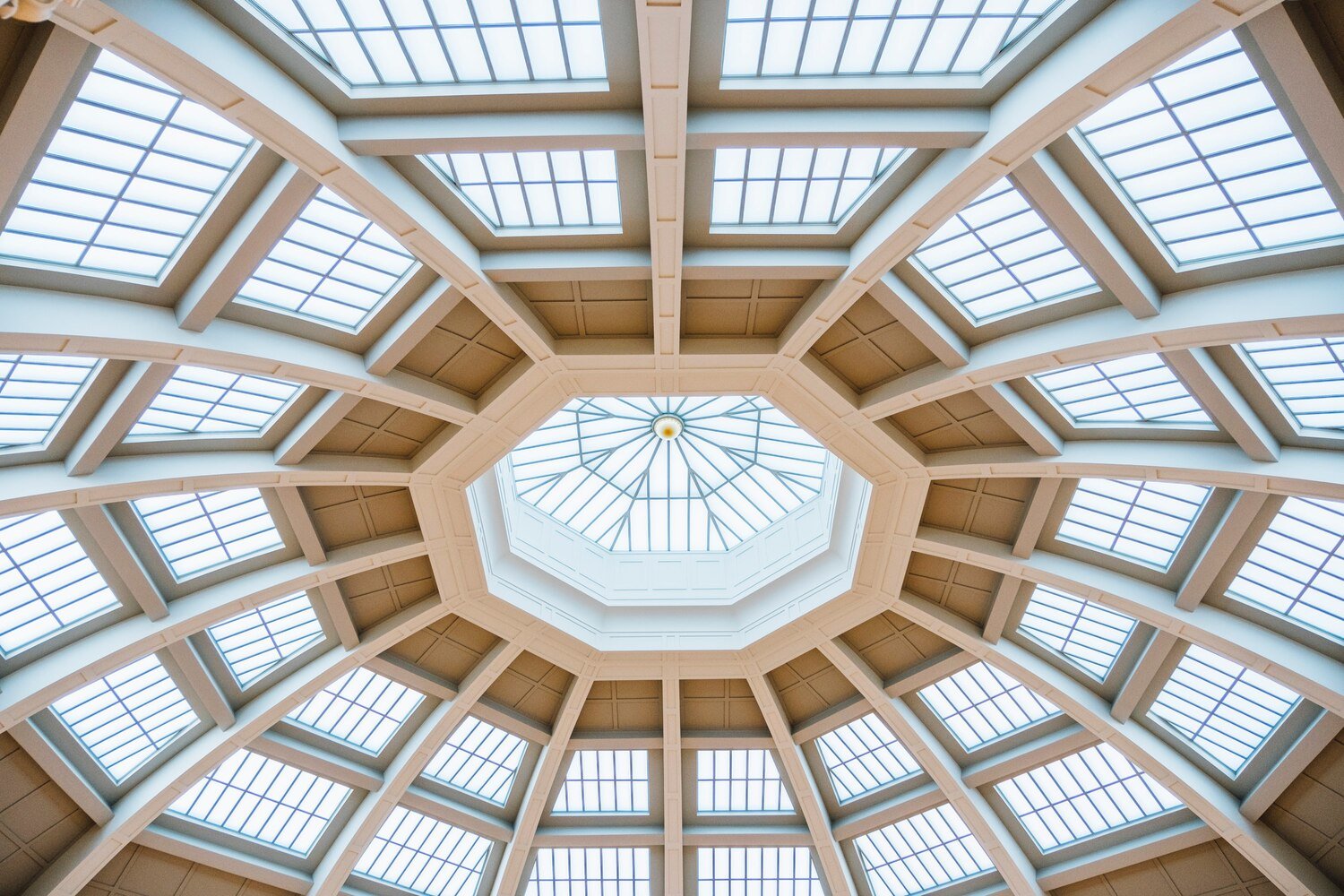 Circle Ceiling Designs & Installation